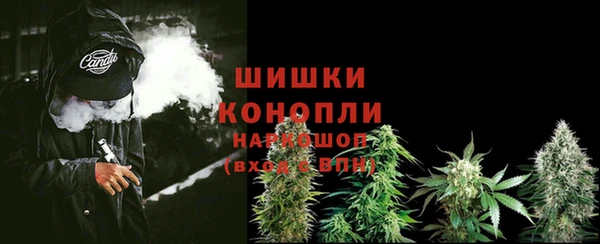 винт Ельня
