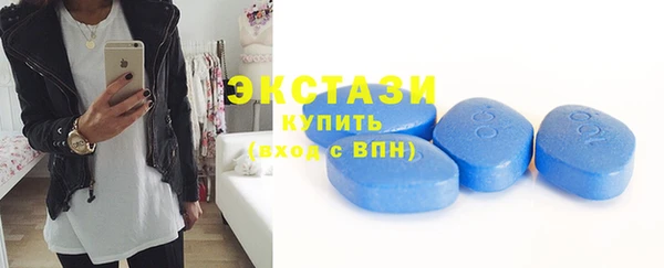 винт Ельня