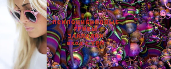 Альфа ПВП Елабуга