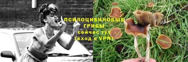 Альфа ПВП Елабуга
