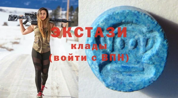 винт Ельня