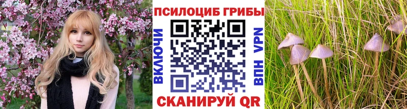 Псилоцибиновые грибы Magic Shrooms  Купить где  Яранск 